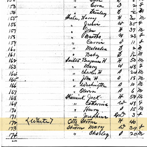 1910 census